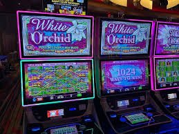 Fortune Snake casino-style theme explained for adults in Bangladesh